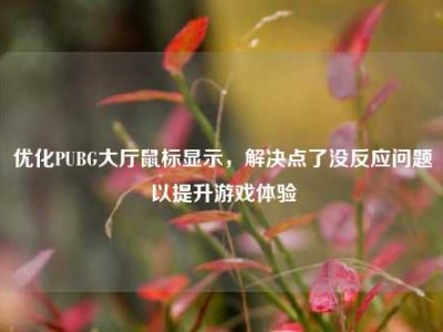 优化PUBG大厅鼠标显示，解决点了没反应问题以提升游戏体验