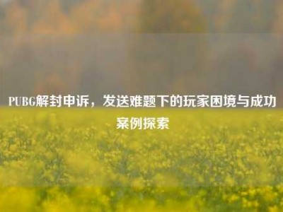 PUBG解封申诉，发送难题下的玩家困境与成功案例探索