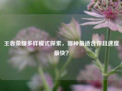 王者荣耀多样模式探索，哪种最适合你且速度最快？