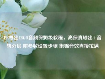 PR导出CSGO音频保姆级教程，高保真输出+音轨分层 附参数设置步骤 集锦音效直接拉满
