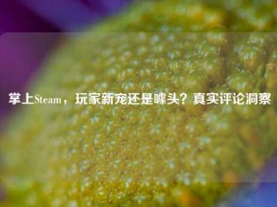 掌上Steam，玩家新宠还是噱头？真实评论洞察
