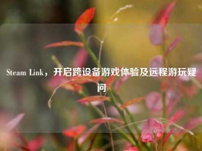 Steam Link，开启跨设备游戏体验及远程游玩疑问