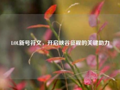 LOL新号符文，开启峡谷征程的关键助力