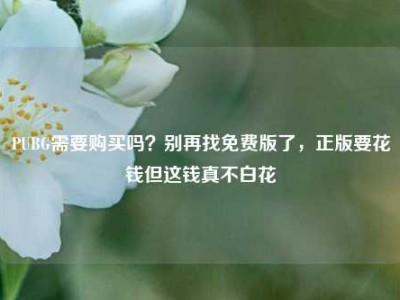 PUBG需要购买吗？别再找免费版了，正版要花钱但这钱真不白花