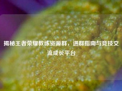 揭秘王者荣耀教练资源群，进群指南与竞技交流成长平台