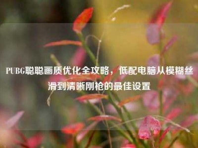 PUBG聪聪画质优化全攻略，低配电脑从模糊丝滑到清晰刚枪的最佳设置