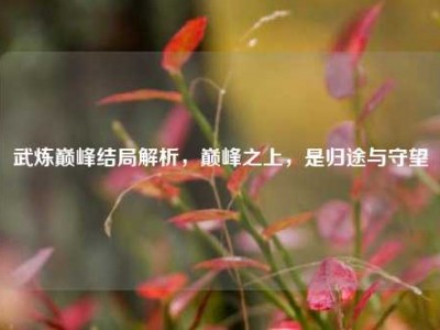 武炼巅峰结局解析，巅峰之上，是归途与守望