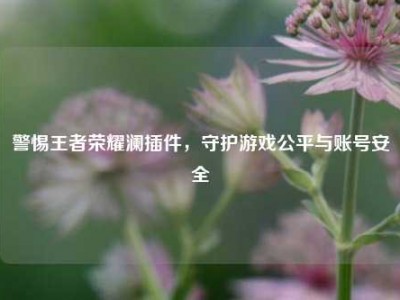 警惕王者荣耀澜插件，守护游戏公平与账号安全