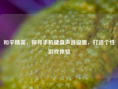 和平精英，探寻手机键盘声音设置，打造个性游戏体验