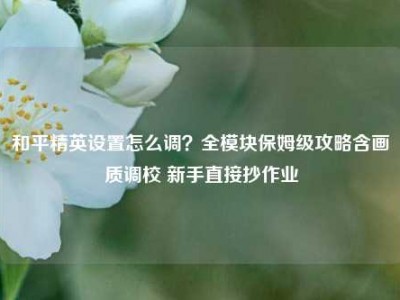 和平精英设置怎么调？全模块保姆级攻略含画质调校 新手直接抄作业