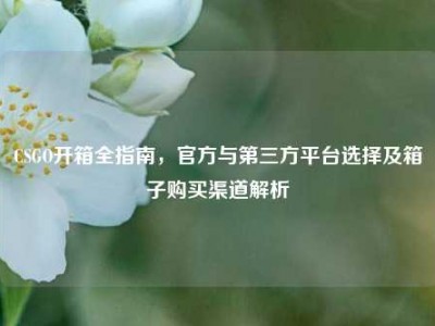 CSGO开箱全指南，官方与第三方平台选择及箱子购买渠道解析