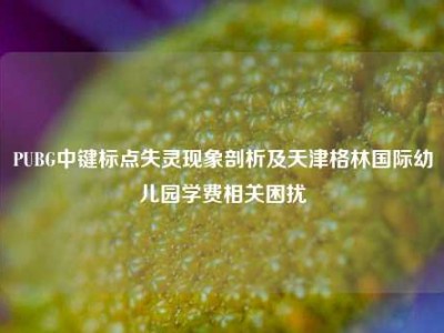 PUBG中键标点失灵现象剖析及天津格林国际幼儿园学费相关困扰