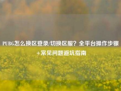 PUBG怎么换区登录/切换区服？全平台操作步骤+常见问题避坑指南