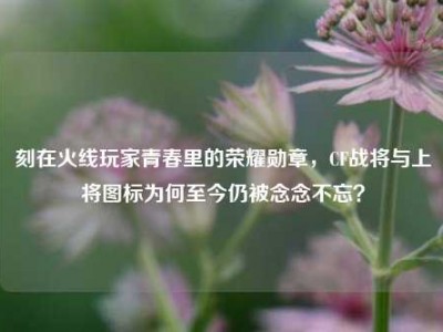 刻在火线玩家青春里的荣耀勋章，CF战将与上将图标为何至今仍被念念不忘？