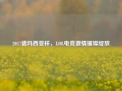 2017德玛西亚杯，LOL电竞激情璀璨绽放