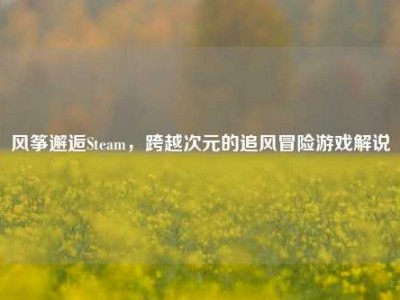 风筝邂逅Steam，跨越次元的追风冒险游戏解说