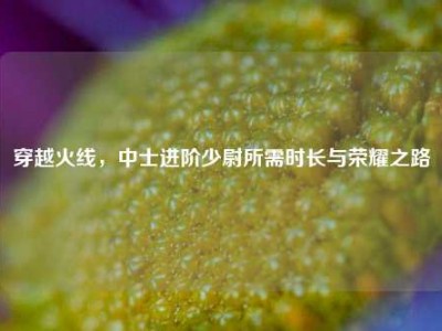 穿越火线，中士进阶少尉所需时长与荣耀之路