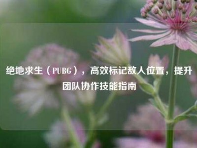 绝地求生（PUBG），高效标记敌人位置，提升团队协作技能指南