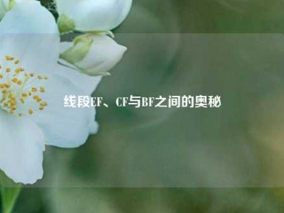 线段EF、CF与BF之间的奥秘