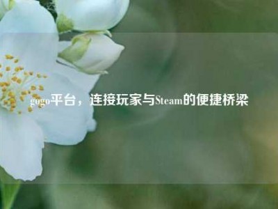 gogo平台，连接玩家与Steam的便捷桥梁