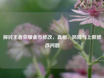 探讨王者荣耀金币修改，真相、风险与上限修改问题