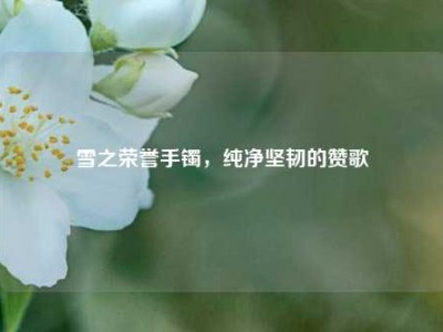 雪之荣誉手镯，纯净坚韧的赞歌