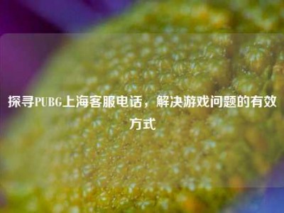 探寻PUBG上海客服电话，解决游戏问题的有效方式
