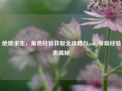 绝地求生，角色经验获取全攻略与pubg等级经验表揭秘