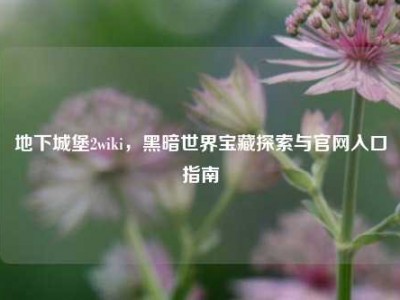 地下城堡2wiki，黑暗世界宝藏探索与官网入口指南