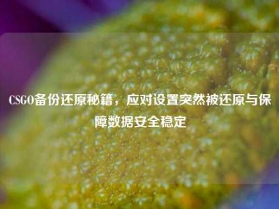 CSGO备份还原秘籍，应对设置突然被还原与保障数据安全稳定