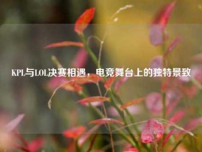 KPL与LOL决赛相遇，电竞舞台上的独特景致