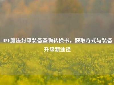 DNF魔法封印装备圣物转换书，获取方式与装备升级新途径