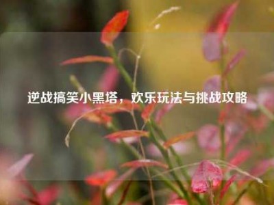 逆战搞笑小黑塔，欢乐玩法与挑战攻略