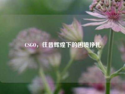 CSGO，往昔辉煌下的困境挣扎