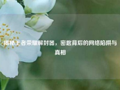 揭秘王者荣耀解封器，密匙背后的网络陷阱与真相