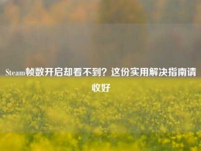 Steam帧数开启却看不到？这份实用解决指南请收好