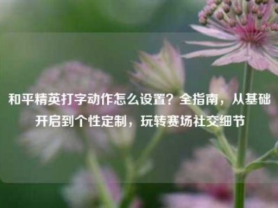 和平精英打字动作怎么设置？全指南，从基础开启到个性定制，玩转赛场社交细节