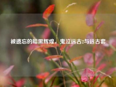 被遗忘的暗黑辉煌，鬼泣远古2与远古套