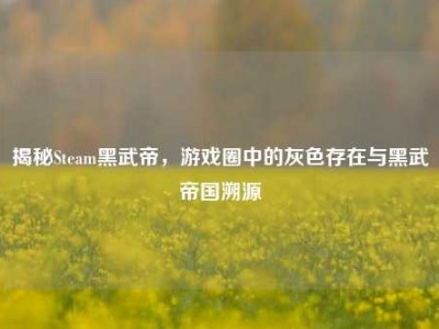 揭秘Steam黑武帝，游戏圈中的灰色存在与黑武帝国溯源