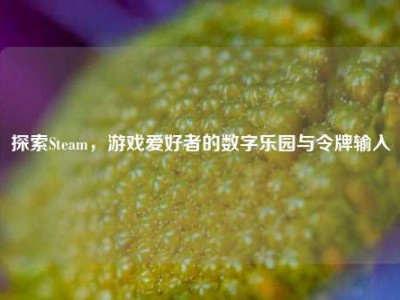 探索Steam，游戏爱好者的数字乐园与令牌输入