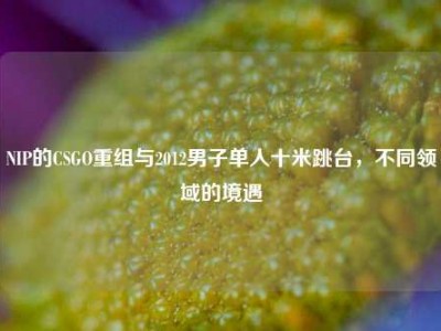 NIP的CSGO重组与2012男子单人十米跳台，不同领域的境遇
