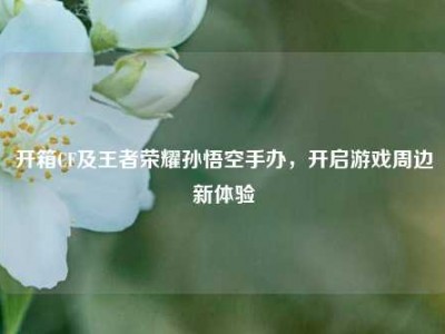 开箱CF及王者荣耀孙悟空手办，开启游戏周边新体验