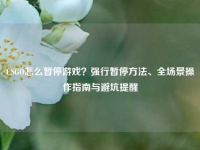 CSGO怎么暂停游戏？强行暂停方法、全场景操作指南与避坑提醒