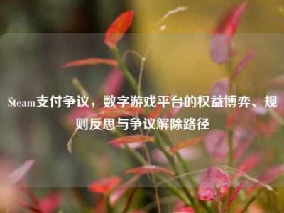 Steam支付争议，数字游戏平台的权益博弈、规则反思与争议解除路径