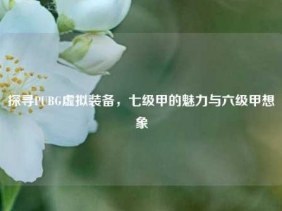 探寻PUBG虚拟装备，七级甲的魅力与六级甲想象