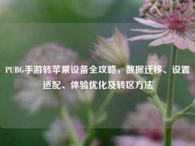 PUBG手游转苹果设备全攻略，数据迁移、设置适配、体验优化及转区方法