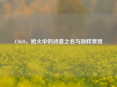 CSGO，枪火中的诗意之名与别样景致