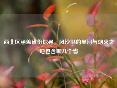 西北区涵盖省份探寻，风沙里的星河与烟火之地包含哪几个省