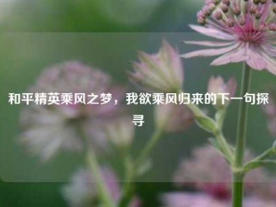 和平精英乘风之梦，我欲乘风归来的下一句探寻