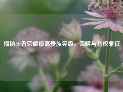 揭秘王者荣耀最高贵族等级，荣耀与特权象征